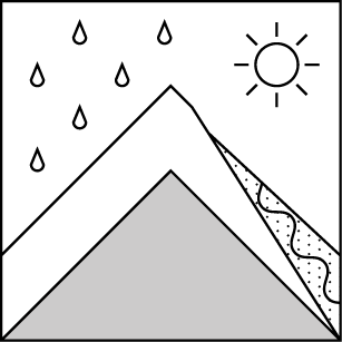 Avalanche Problem Type